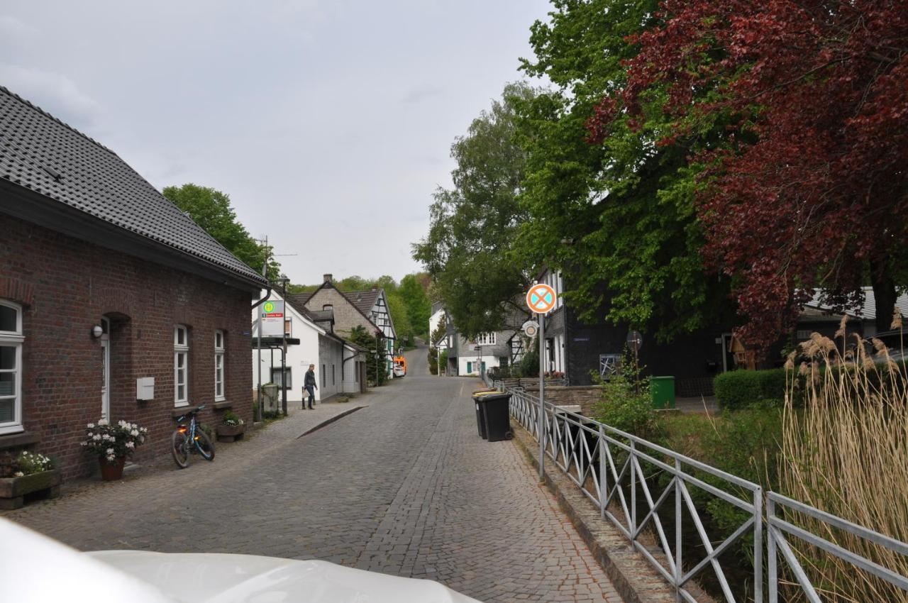 Sterner Obgruiten Haan Eksteriør bilde